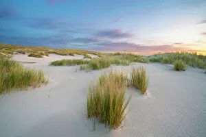 Images Dated 12th January 2023: Sand dune landscape at sunrise, Wittdun, UNESCO, Amrum island, Nordfriesland, Schleswig-Holstein