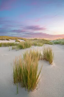 Images Dated 12th January 2023: Sand dune landscape at sunrise, Wittdun, UNESCO, Amrum island, Nordfriesland, Schleswig-Holstein