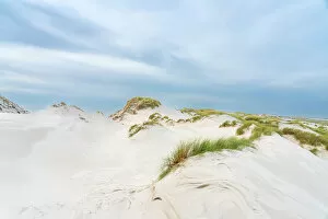 Images Dated 12th January 2023: Sand dune landscape, Wittdun, UNESCO, Amrum island, Nordfriesland, Schleswig-Holstein, Germany