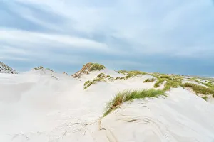 Images Dated 12th January 2023: Sand dune landscape, Wittdun, UNESCO, Amrum island, Nordfriesland, Schleswig-Holstein, Germany