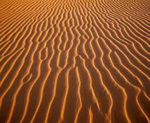 Desolate Gallery: Sand Dune Patterns, Algondones Dunes Wilderness, California, USA