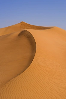 Sand Dunes, Arabian Desert, Dubai, United Arab Emirates
