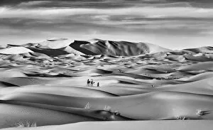 Black and White Gallery: Sand dunes of Erg Chebbi, Sahara, Morocco