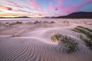 Images Dated 27th March 2023: Sand dunes on Seilebost beach looking towards Luskentyre, Isle of Harris, Outer Hebrides, Scotland