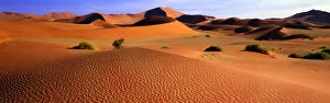 Images Dated 30th November 2016: Sand Dunes, Sossusvlei, Nambia, Africa
