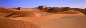 Desolate Gallery: Sand Dunes, Sossusvlei, Namibia, Africa