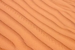 Rural Life Prints: Sand ripples and beetle tracks on the dunes of Erg Chebbi on the Sahara Desert