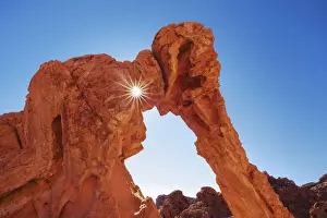 Erosion Landscape Prints: Sand stone structures Elephant Rock in Valley of Fire - USA, Nevada, Clark