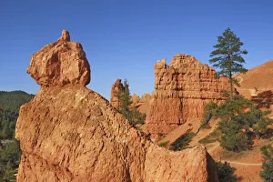 Subtropics Prints: Sandstone erosion landscape in Red Canyon - USA, Utah, Garfield