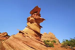 Erosion Landscape Prints: Sandstone erosion landscape at Wired Rock in Vermillion Cliffs South - USA, Arizona