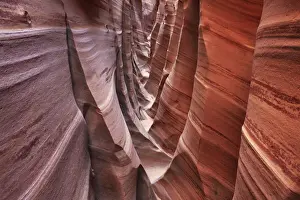 Erosion Landscape Prints: Sandstone erosion landscape in Zebra Slot Canyon - USA, Utah, Kane, Escalante Canyons