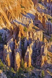 Eroded Collection: Sandstone formations, Bryce Canyon, Bryce Canyon National Park, Utah, USA