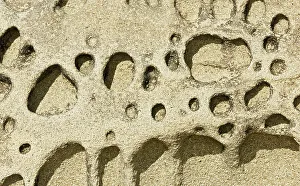 Gulf Islands Prints: Sandstone detail Hornby Island in the Gulf Islands, British Columbia, Canada