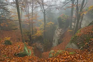 Leaves Gallery: Sandstone rock formations, Hruba Skala, Semily District, Liberec Region, Bohemia