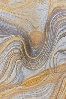 Sandstone rock formations, Spittal Beach, Northumberland, England, UK