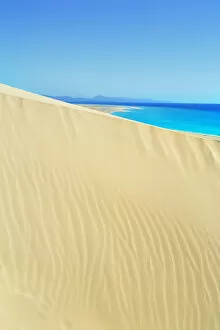 Dune Gallery: Sandy dunes at Sotavento Beach, Jandia Peninsula, Fuerteventura, Canary Islands, Spain