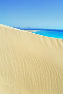 Dune Gallery: Sandy dunes at Sotavento Beach, Jandia Peninsula, Fuerteventura, Canary Islands, Spain