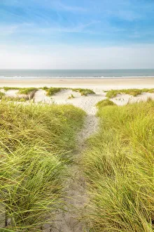 Nordsee Prints: Sandy path in the dunes to the north beach of Norderney