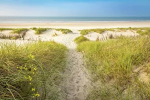 Norderney Prints: Sandy path in the dunes to the north beach of Norderney