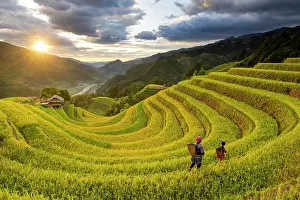 Crop Prints: Sang Nhu horseshoe rice terraces at sunset, Mu Cang Chai, Northwest Vietnam, Asia