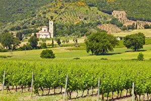 Tuscan Prints: Sant Antimo Abbey, Tuscany, Italy