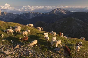 Sant Antonio valley, Lombardy, Italy
