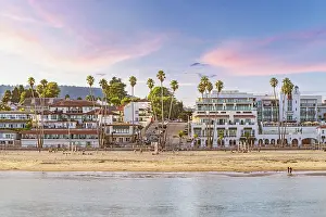 Santa Cruz Prints: Santa Cruz and the Beach framed with Palm Trees, California, USA