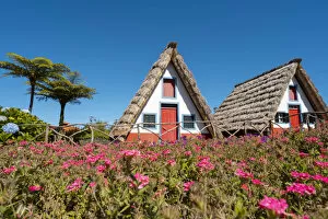 Images Dated 7th January 2021: Santana traditional houses, Madeira island, Portugal, Europe