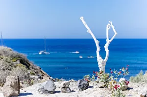 Minimal Prints: Santorini, Cyclades Islands, Greece. Minimal white wooden tree against blue sea and sky