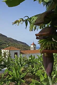 Images Dated 4th March 2014: Santuario de Las Angustias near Puerto Tazacorte, La Palma, Canaries