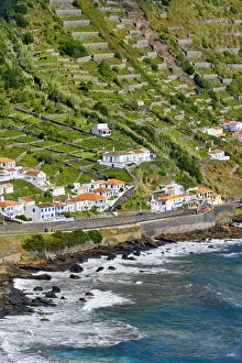 Acores Gallery: Sao Lourenco Bay (Baia de Sao Lourenco) with terraced vineyards facing the sea