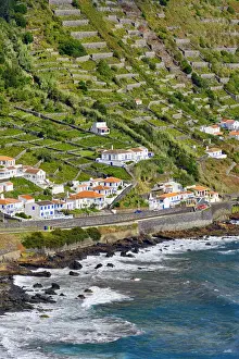 Beachfront Prints: Sao Lourenco Bay (Baia de Sao Lourenco) with terraced vineyards facing the sea