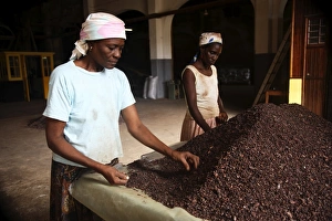 Principe Gallery: Two Sao Tomense women sort through cocoa beans at the