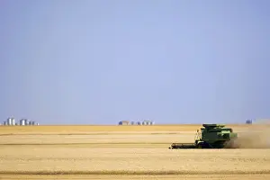 Agricultural Prints: Saskatchewan; Canada. A combine harvesting wheat on the canadian prairie