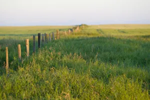 Ranch Prints: Saskatchewan, Canada. A fence on the Canadian Prairie