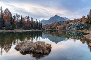 Fall Season Prints: Sasso Moro peak reflected in Mufule lake at twilight, Malenco Valley, Valtellina