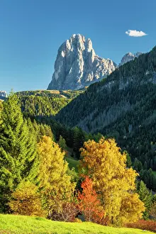 Silver Birch Prints: Sassolungo in Autumn, Dolomites, South Tyrol, Trentino Alto Adige, Italy