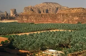 Saudi Arabia, Madinah, Al-Ula. Date plantations lie amidst picturesque scenery in the oasis surrounding
