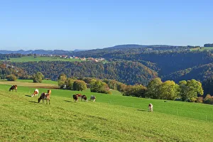 Saulcy, Parc du Doubs, Jura, Switzerland