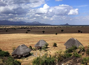 Equator Collection: Savanna, Kidepo national park, Uganda, East Africa