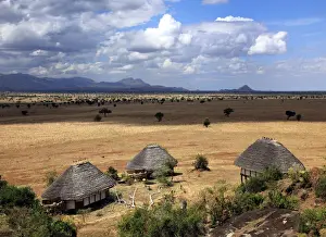 Ecosystem Prints: Savanna, Kidepo national park, Uganda, East Africa