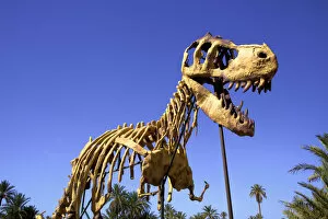 Images Dated 19th February 2014: Full Scale Maquette Of A Dinosaur, Tahiri Museum, Rissani, Morocco, North Africa