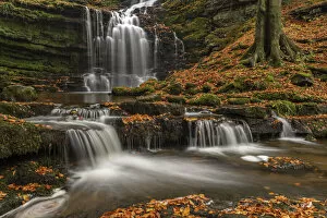 Images Dated 16th July 2021: Scaleber Force waterfall in the Yorkshire Dales National Park, North Yorkshire, England