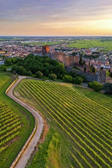 Roads Prints: Scaligero castle of Soave at sunset in summer. Verona district, Veneto, Italy