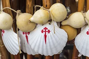 Galicia Prints: Scallop shell & walking sticks, symbol of The Camino de Santiago pilgrimage walk