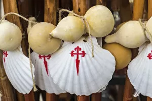 Pilgrimage Gallery: Scallop shell & walking sticks, symbol of The Camino de Santiago pilgrimage walk