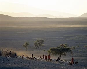 Maasai Tribe Collection: The scene at a Msai manyatta south of Lake Natron