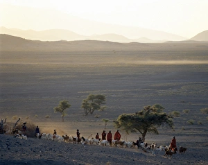 Dust Gallery: The scene at a Msai manyatta south of Lake Natron