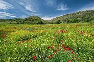 Poppies Prints: Scenic blooming spring landscape, Albarracin, Aragon, Spain