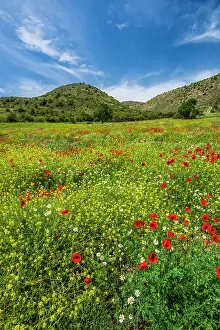 Poppies Prints: Scenic blooming spring landscape, Albarracin, Aragon, Spain